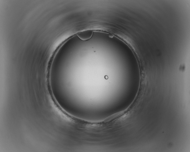 X0000111471135200907131512