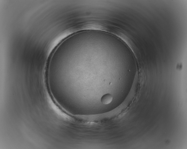 X0000111471139200907131512
