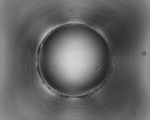 X0000111471140200907131513