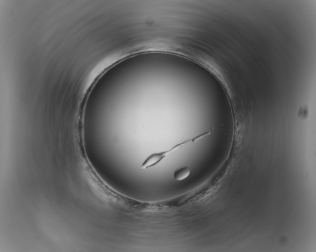 X0000111471146200907131513
