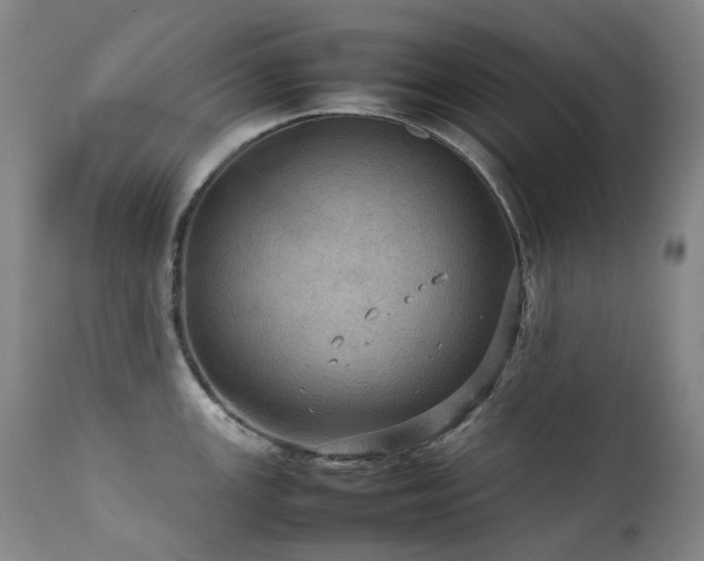 X0000111471147200907131513
