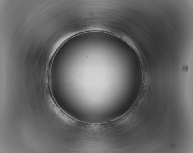 X0000111471148200907131513