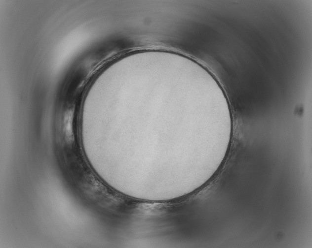 X0000111471150200907131513