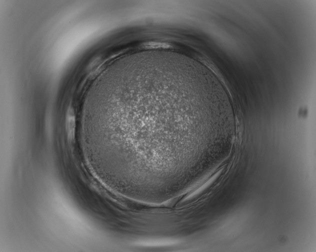 X0000111471151200907131513