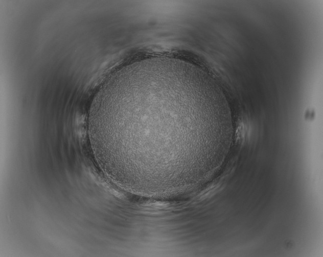 X0000111471156200907131512