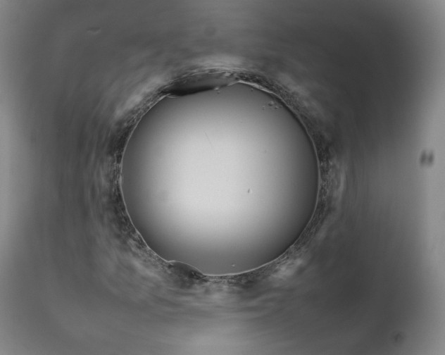 X0000111471157200907131512