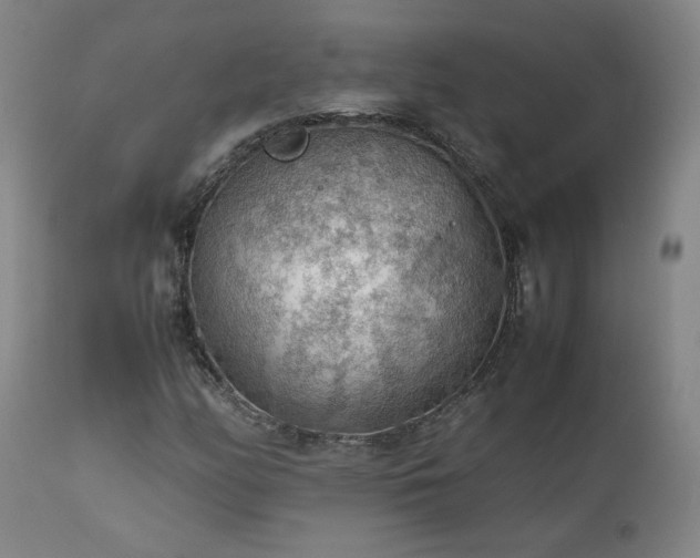 X0000111471158200907131512
