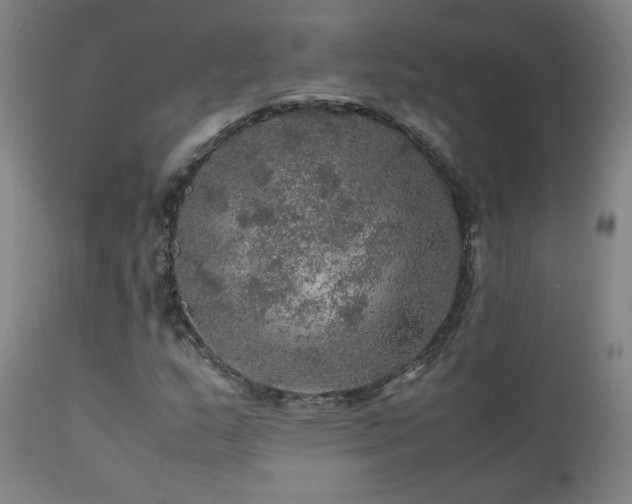 X0000111471159200907131512