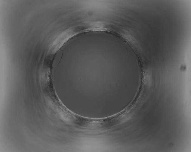 X0000111471161200907131512