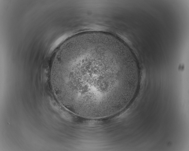 X0000111471163200907131512