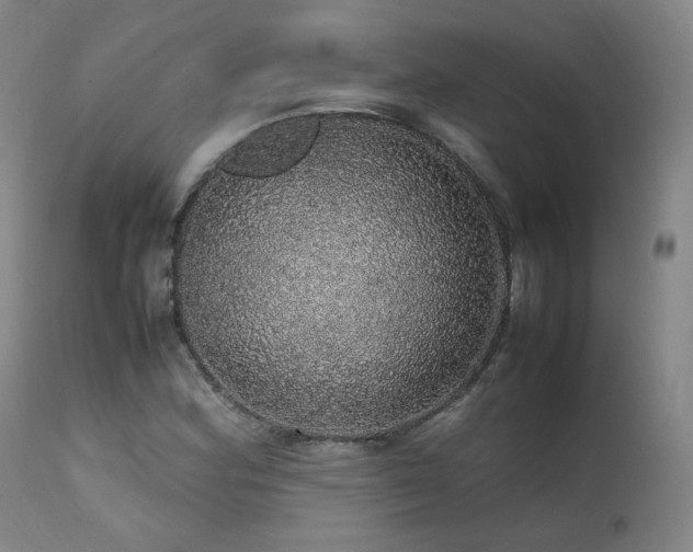 X0000111471164200907131512