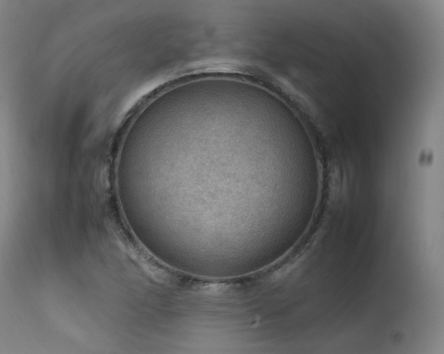 X0000111471166200907131511