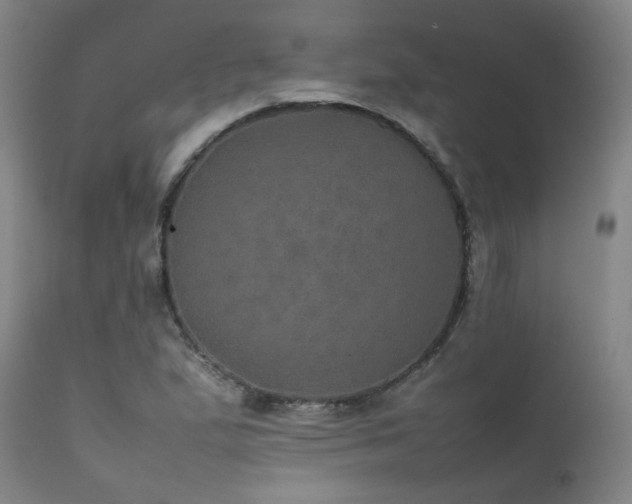 X0000111471167200907131511