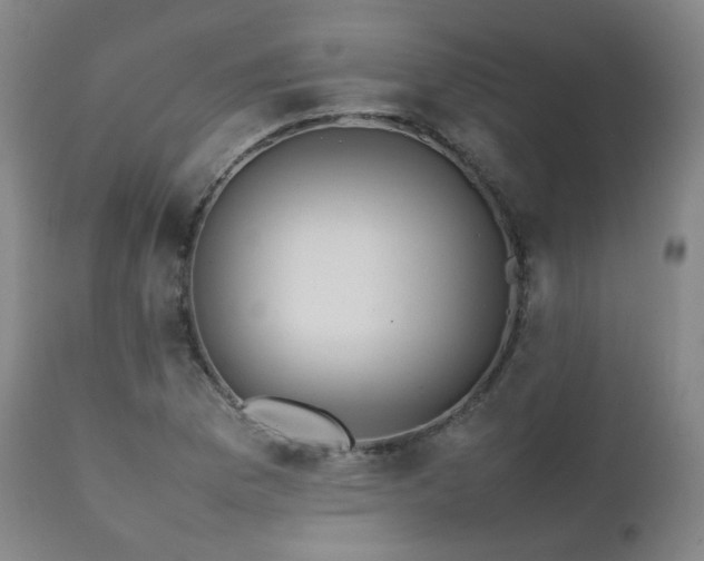 X0000111471169200907131511