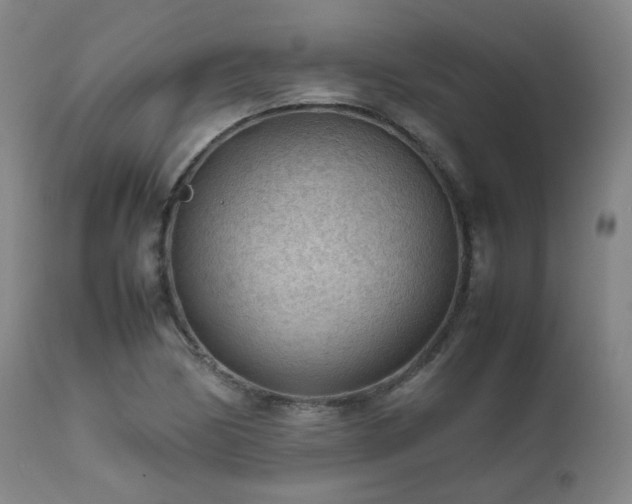 X0000111471170200907131511