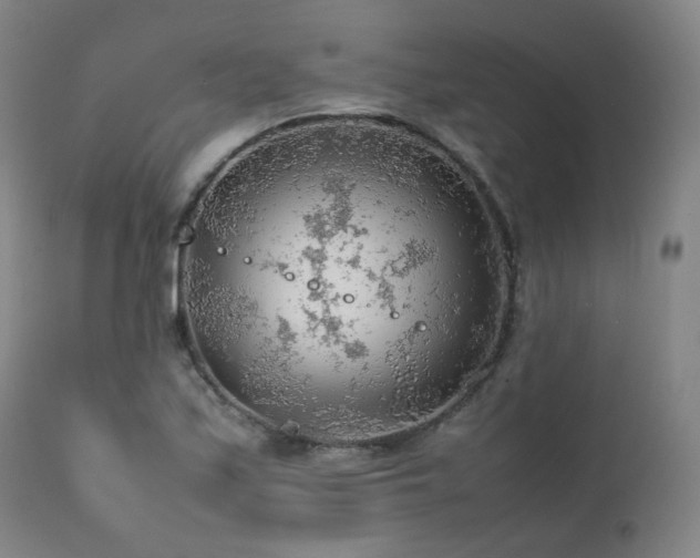 X0000111471171200907131511