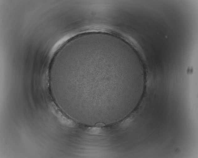 X0000111471172200907131511