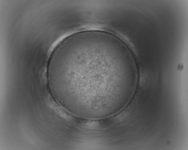 X0000111471174200907131511