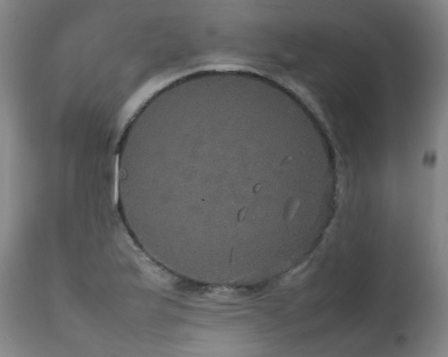 X0000111471175200907131511