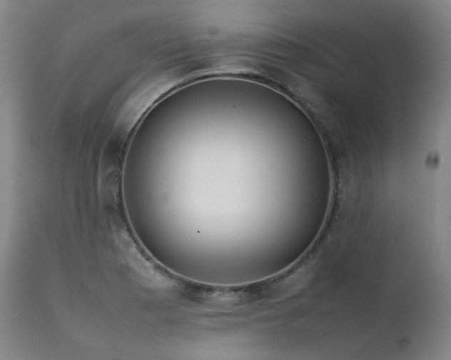 X0000111471177200907131511