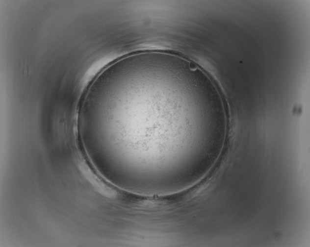 X0000111471179200907131511