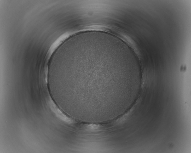 X0000111471180200907131511