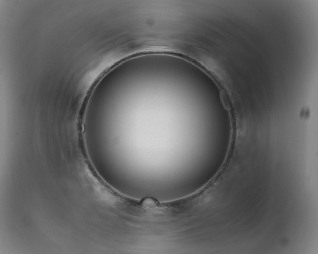 X0000111471181200907131511