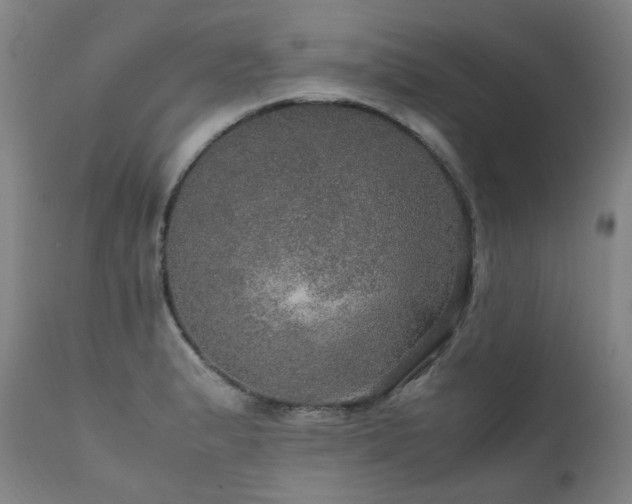X0000111471183200907131511