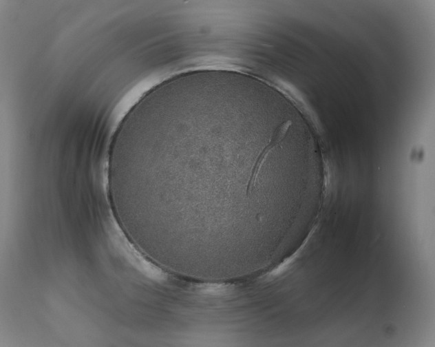 X0000111471188200907131511