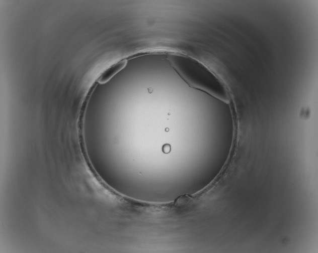 X0000111471189200907131511