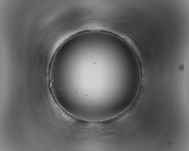 X0000111471191200907131511