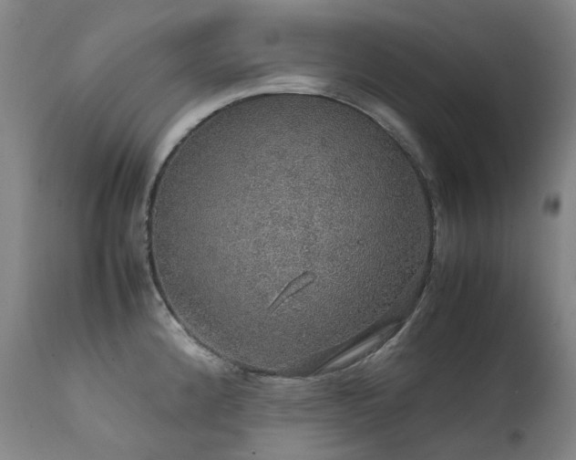 X0000111471192200907131511