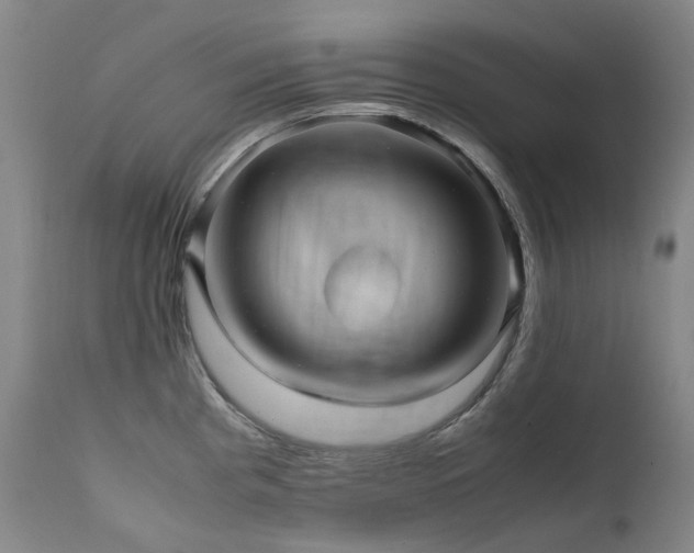 X0000111471193200907131511