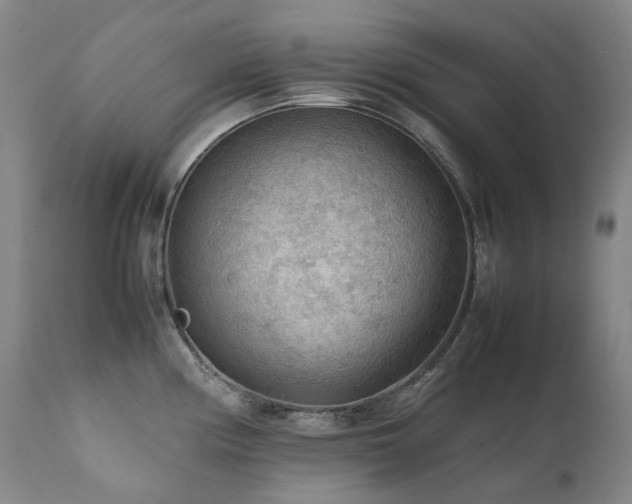 X0000111471194200907131511