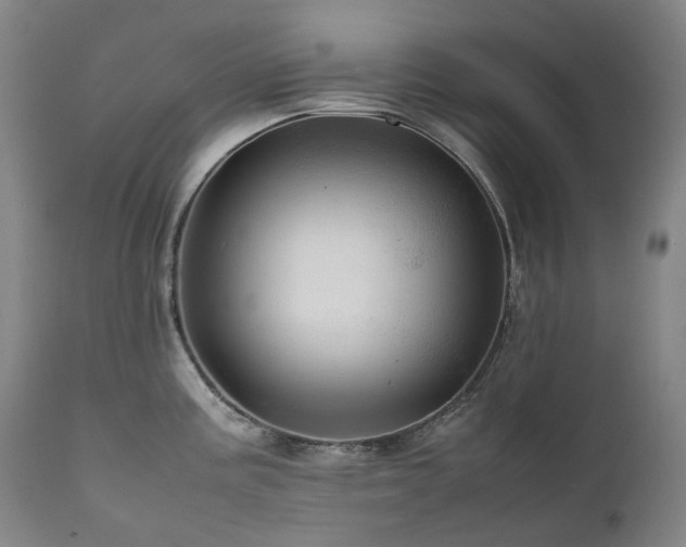 X0000111471195200907131511