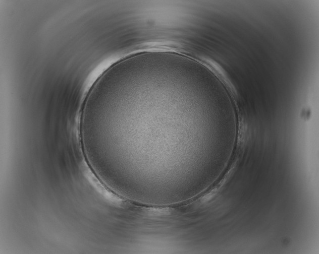 X0000111471196200907131511