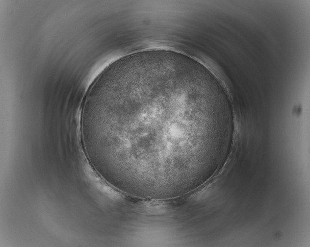 X0000111471198200907131511