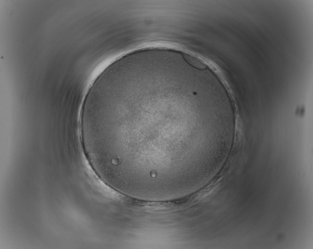 X0000111471199200907131511