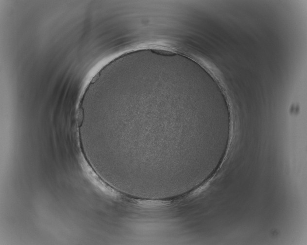 X0000111471200200907131511
