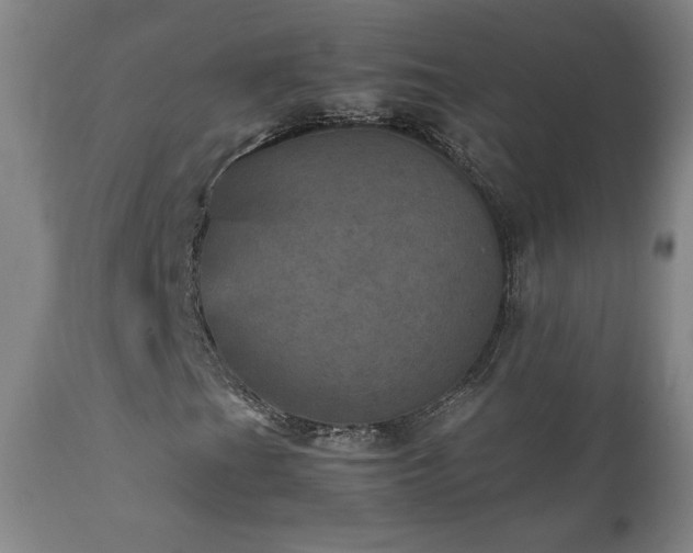 X0000111471201200907131510