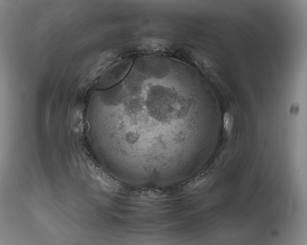 X0000111471203200907131510