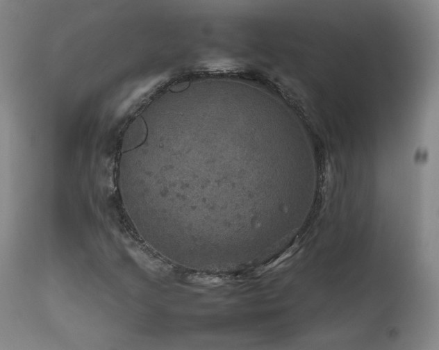 X0000111471205200907131510