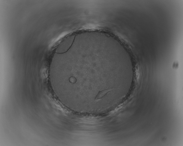 X0000111471206200907131510