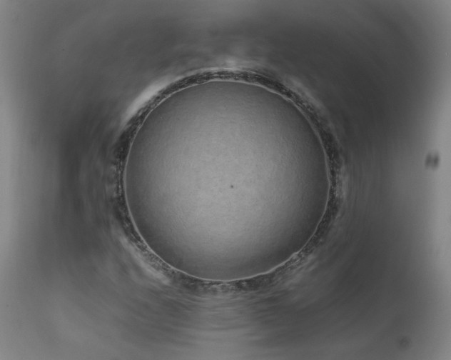 X0000111471208200907131510