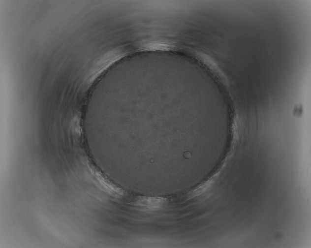 X0000111471209200907131510