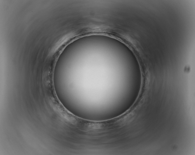 X0000111471211200907131511