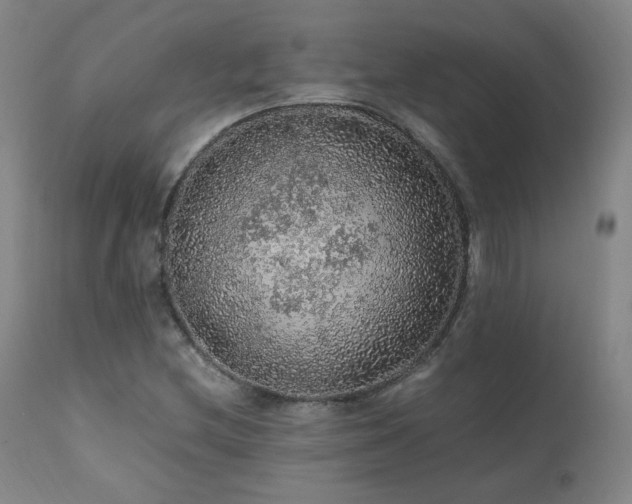 X0000111471212200907131511