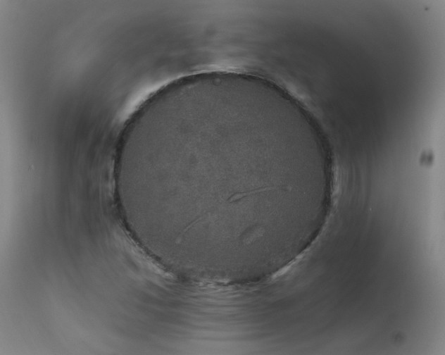 X0000111471214200907131511