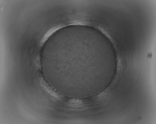 X0000111471215200907131511