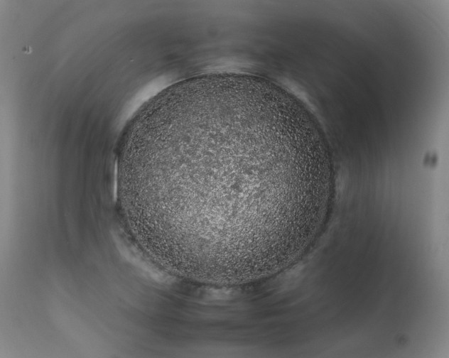 X0000111471219200907131511